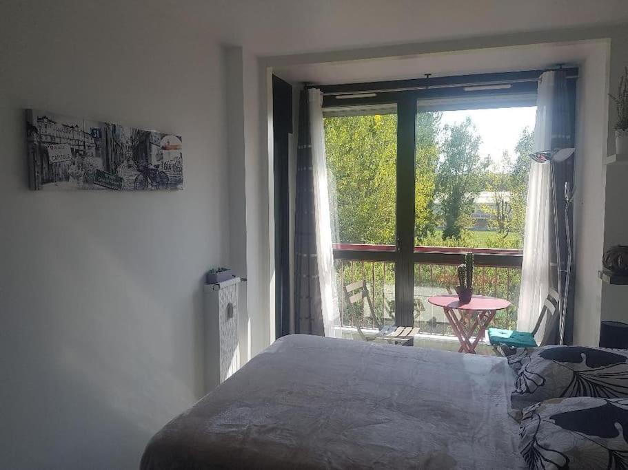 Appartement Cosy Entierement Equipe ตูลูส ภายนอก รูปภาพ