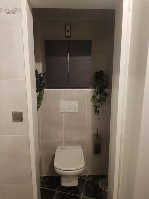 Appartement Cosy Entierement Equipe ตูลูส ภายนอก รูปภาพ