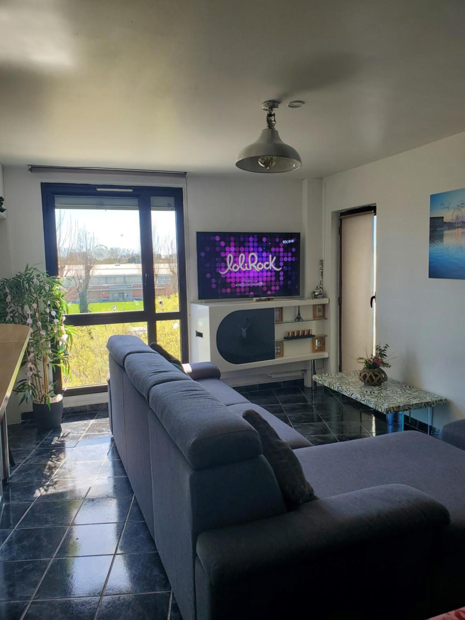 Appartement Cosy Entierement Equipe ตูลูส ภายนอก รูปภาพ